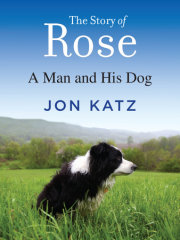 The Story of Rose 
