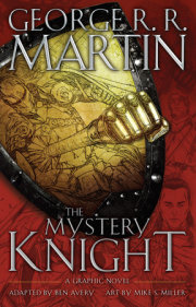 The Mystery Knight: A Graphic Novel 