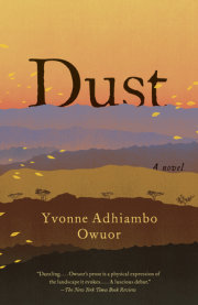 Dust 