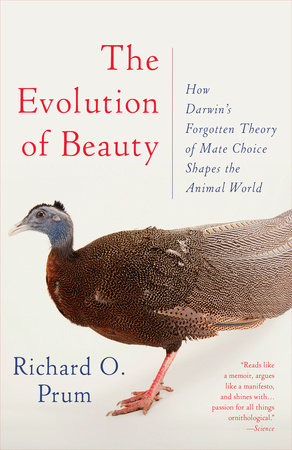 The Evolution Of Beauty By Richard O Prum Penguinrandomhouse Com Books