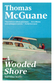 A Wooded Shore 