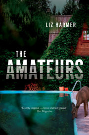 The Amateurs 