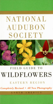 National Audubon Society Field Guide to North American Wildflowers--E 