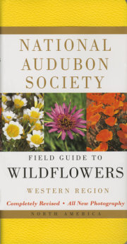 National Audubon Society Field Guide to North American Wildflowers--W 