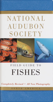 National Audubon Society Field Guide to Fishes 