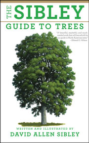 The Sibley Guide to Trees 