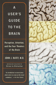 A User's Guide to the Brain 