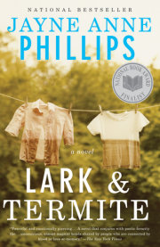 Lark and Termite 