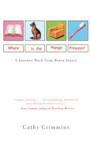 Where Is the Mango Princess? 