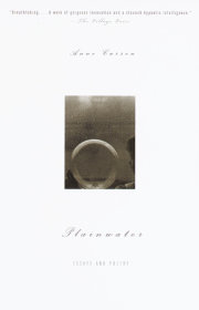 Plainwater 