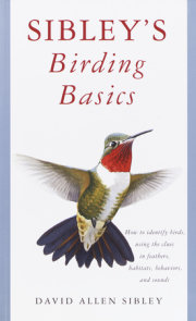 Sibley's Birding Basics 