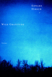 Wild Gratitude 