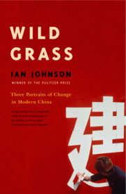 Wild Grass 