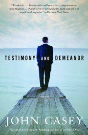 Testimony and Demeanor