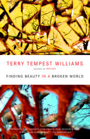 Finding Beauty in a Broken World 