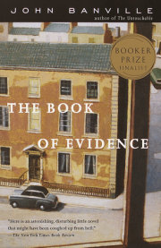 The Book of Evidence 