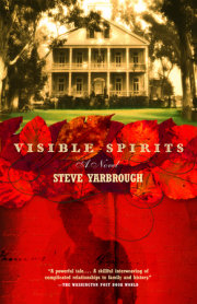 Visible Spirits 