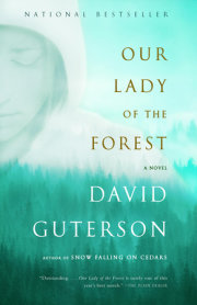 Our Lady of the Forest 