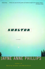 Shelter 