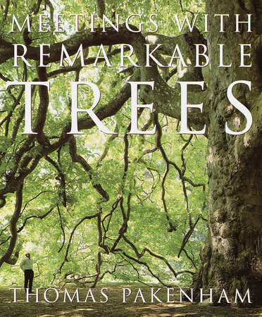 Meetings With Remarkable Trees