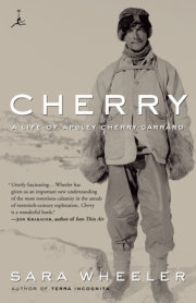 Cherry 