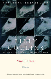 Nine Horses 