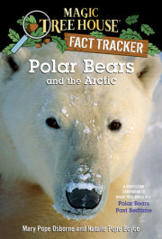 Polar Bears and the Arctic 