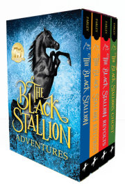 The Black Stallion Adventures 