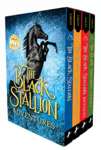 Cover of The Black Stallion Adventures cover