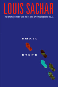 Cover of Small Steps cover