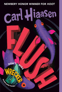 Cover of Flush cover