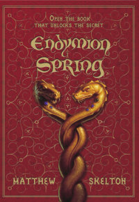 Cover of Endymion Spring cover