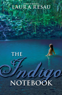 Book cover for The Indigo Notebook