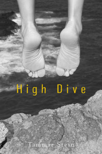 Cover of High Dive