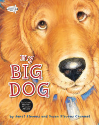 Book cover for My Big Dog