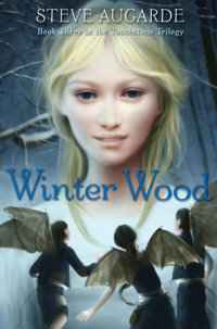 Book cover for Winter Wood