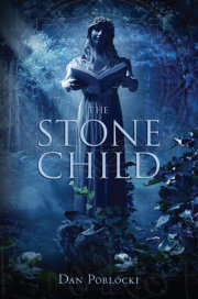 The Stone Child 