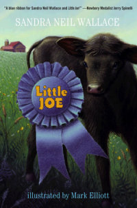 Book cover for Little Joe