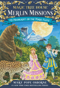 Book cover for Moonlight on the Magic Flute