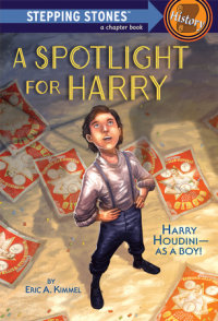 Book cover for A Spotlight for Harry