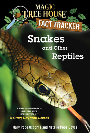 Can Snakes See The Stars- 16 Amazing Facts About Snake