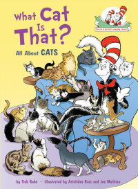 Book cover for What Cat Is That?
