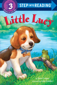 Book cover for Little Lucy