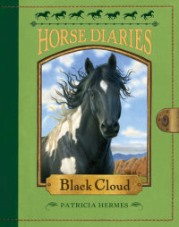 Book cover for Horse Diaries #8: Black Cloud