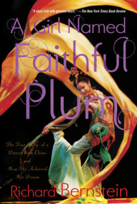 Book cover for A Girl Named Faithful Plum