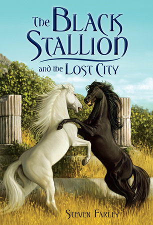 black stallion book