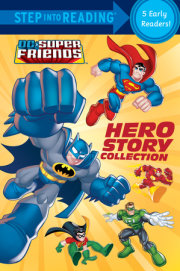 Hero Story Collection (DC Super Friends) 