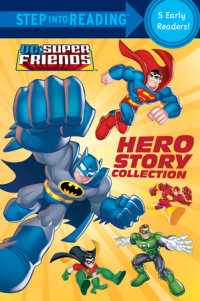 Book cover for Hero Story Collection (DC Super Friends)