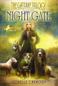 Book cover for Night Gate