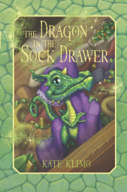 Dragon Keepers #1: The Dragon in the Sock Drawer 